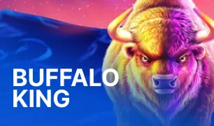 Game cover for «Buffalo King»