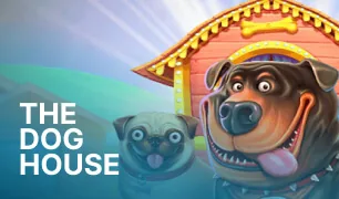 Game cover for «The Dog House»